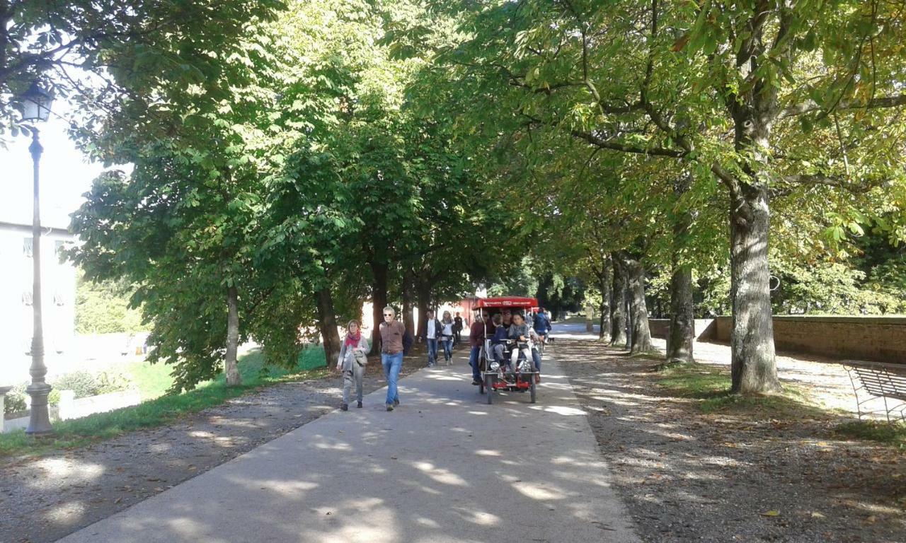 Shanty Home Лукка Екстер'єр фото